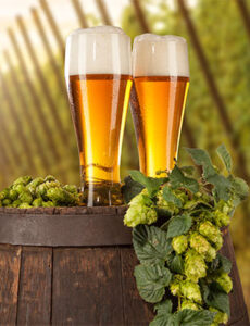 Hof- und Biergarten des Hotels Goldener Anker Radebeul